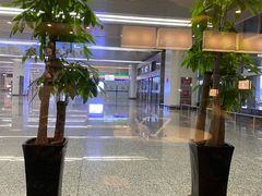 -石家庄正定国际机场-T2航站楼