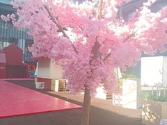 -OCT PARK欢乐时光
