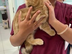 -纳吉亚猫专科动物医院博雅分院