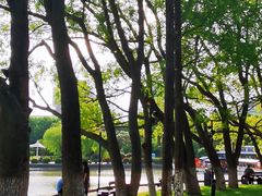 -东湖景区
