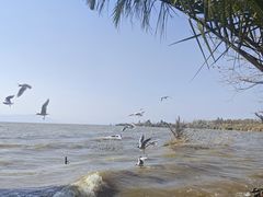 -捞渔河湿地公园