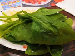 菠菜-呷哺呷哺(西单大悦城店)