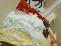 -狐狸和向日葵(北京路店)