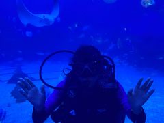 -烟台海昌鲸鲨海洋公园