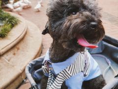 -王府井奥莱临潼小镇(临潼店)