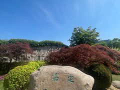 -嘉定紫藤园
