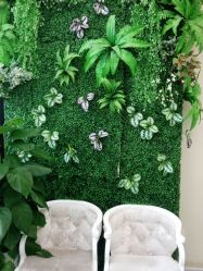 -苗医生草本科技祛痘