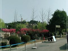 -鹦鹉寺公园