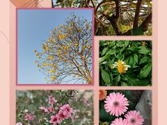 -中国科学院华南植物园