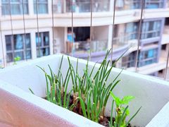 -碧桂园十里银滩