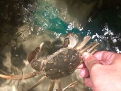 -螃牛记创意火锅