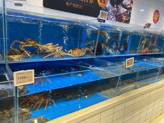 水产区-T11生鲜超市(朝阳公园店)