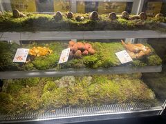 -滇野云南野生菌餐厅(陕西南路店)