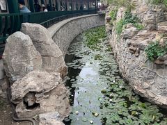 -莲池书院博物馆