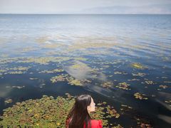 大理旅拍，大理摄影，大理旅游-理想国摄影(三塔店)