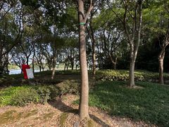 -南翔镇银翔湖公园