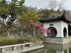 -红梅公园