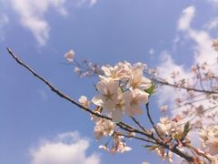-苏州上方山国家森林公园