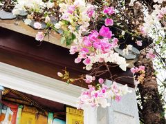 -深圳国际园林花卉博览园