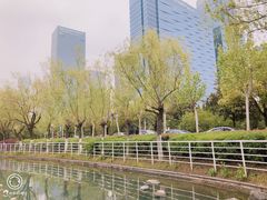 -天鹅湖体育公园