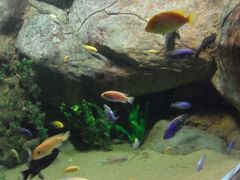 -苏州海洋馆