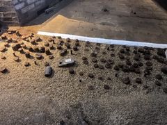 -元代水闸遗址博物馆