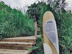 -成都市活水公园