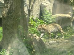 -石家庄市动物园