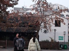 -花园菜市场