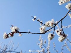 -长安大学(北校区)