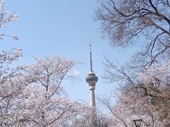 -中央广播电视塔