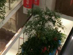 -宏帆巴人广场(石岭大道店)