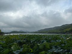 -西湖游船