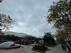 -深圳湾公园(南山区)