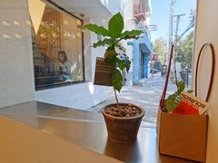 -村口大树(长乐路店)