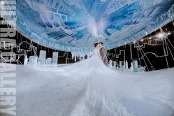 -DNA Wedding 婚礼记(上海店)