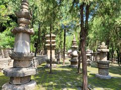 -四门塔风景区