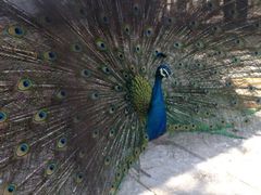 iphone_upload_pic-意大利农场度假村