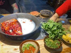 -阳阳老火锅(小南门店)