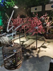 -酷嗒动物文化乐园(cutezoo西溪乐天城店)