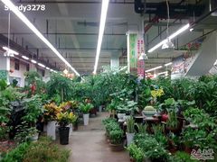 -双季花艺园艺市场(浦东店)