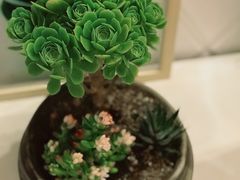 -循礼门鲜花花市(武汉循礼门店)