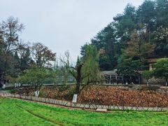 -韶山毛泽东同志故居