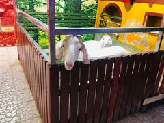 -上海大自然野生昆虫馆(东方明珠·爬宠昆虫探索中心)
