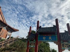 -抱犊崮国家森林公园