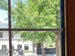 -天正河鲀·河豚亭(大连店)