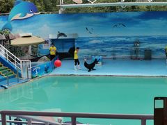 -西安秦岭野生动物园