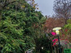 -深圳国际园林花卉博览园