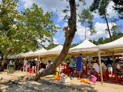 -楠溪江风景名胜区