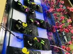 -比亚森自助烤肉料理(裕华店)